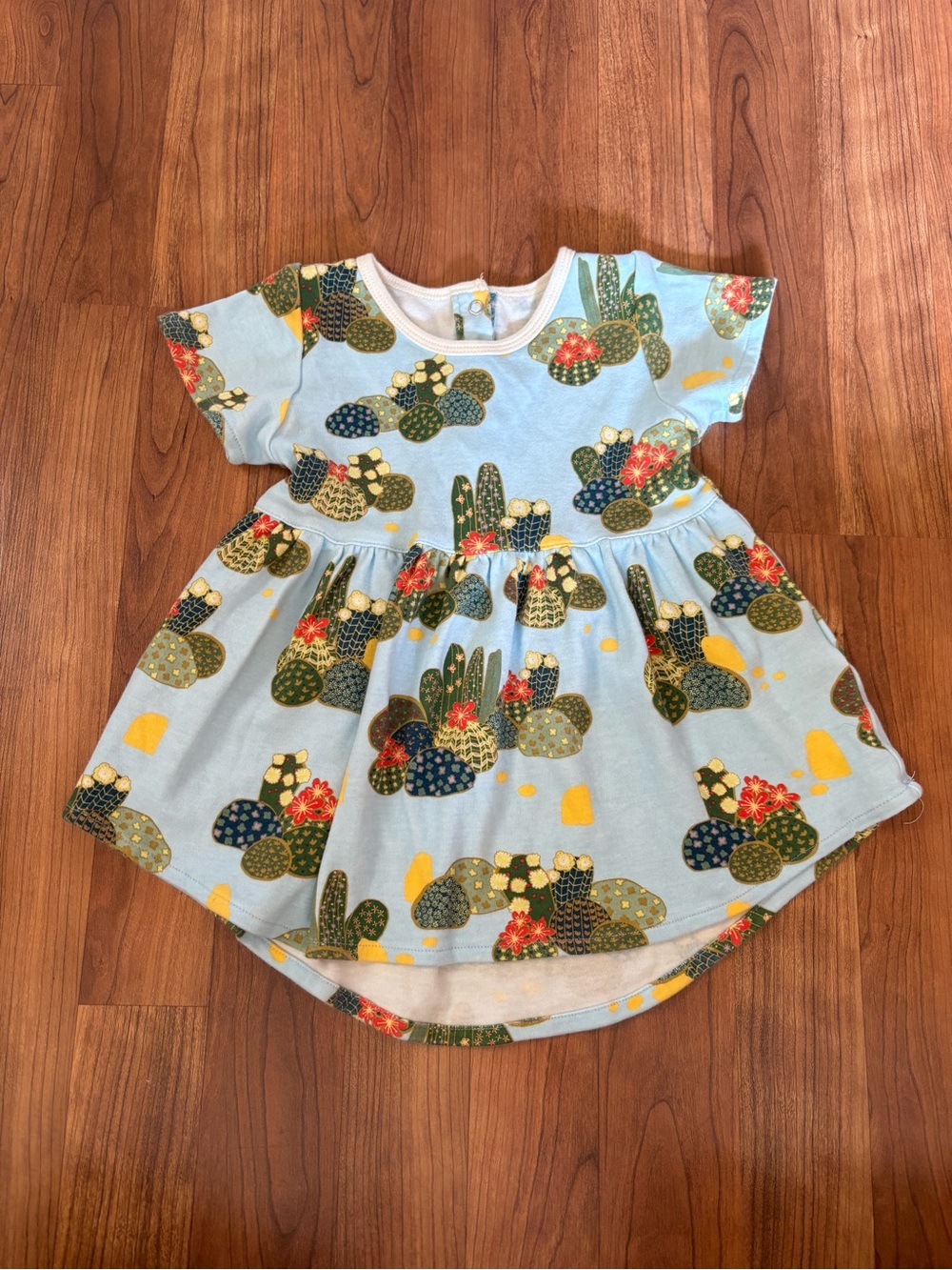 Apple Park Cactus Print Dress Size 18-24 mo